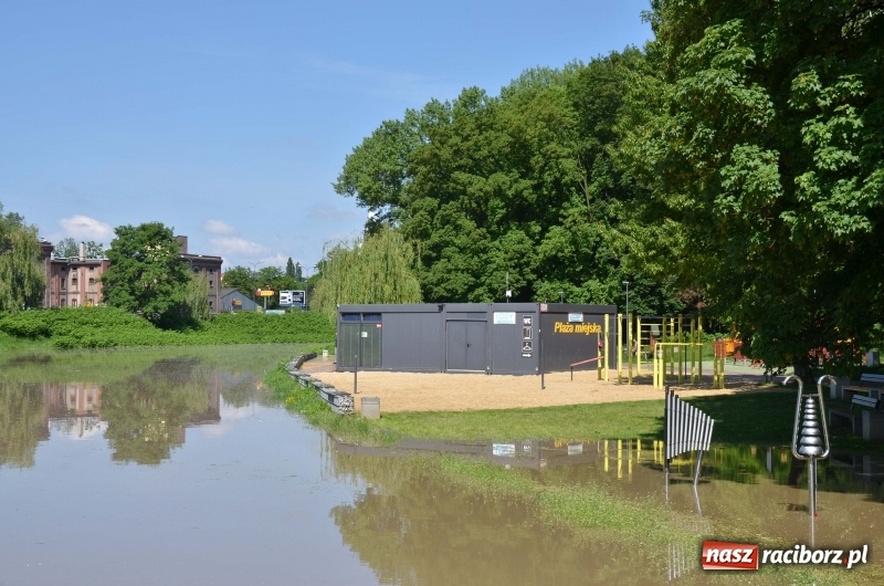 Zdjęcie w galerii na portalu naszraciborz.pl: Wezbranie 2019 - najwyższy stan na Odrze miejskiej. Wizyta komendanta głównego straży pożarnej wiadomości z regionu