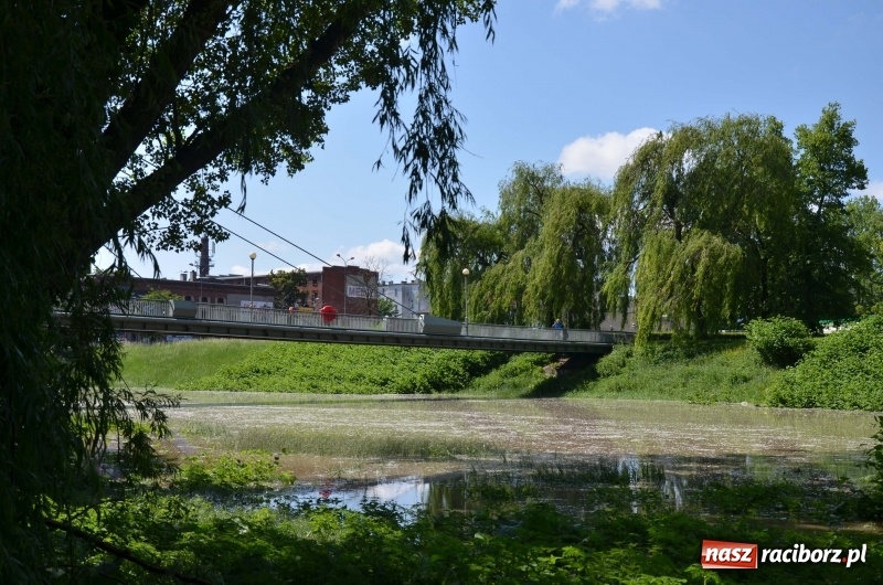 Zdjęcie w galerii na portalu naszraciborz.pl: Wezbranie 2019 - najwyższy stan na Odrze miejskiej. Wizyta komendanta głównego straży pożarnej wiadomości z regionu
