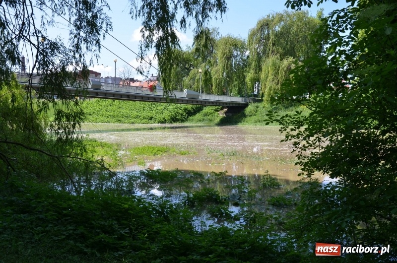 Zdjęcie w galerii na portalu naszraciborz.pl: Wezbranie 2019 - najwyższy stan na Odrze miejskiej. Wizyta komendanta głównego straży pożarnej wiadomości z regionu