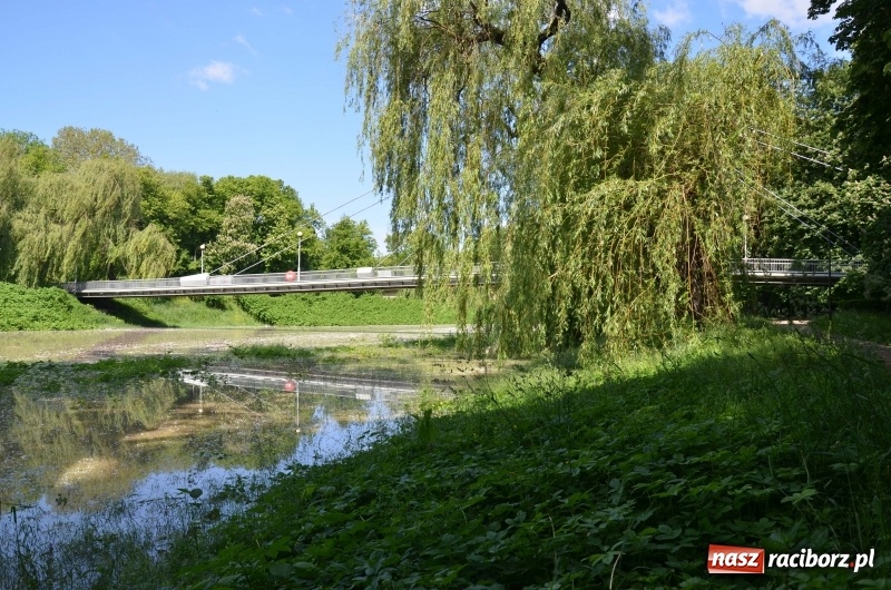 Zdjęcie w galerii na portalu naszraciborz.pl: Wezbranie 2019 - najwyższy stan na Odrze miejskiej. Wizyta komendanta głównego straży pożarnej wiadomości z regionu