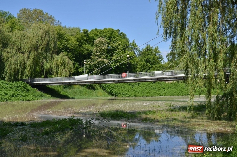 Zdjęcie w galerii na portalu naszraciborz.pl: Wezbranie 2019 - najwyższy stan na Odrze miejskiej. Wizyta komendanta głównego straży pożarnej wiadomości z regionu