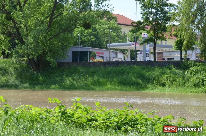 Zdjęcie w galerii na portalu naszraciborz.pl: Wezbranie 2019 - najwyższy stan na Odrze miejskiej. Wizyta komendanta głównego straży pożarnej wiadomości z regionu