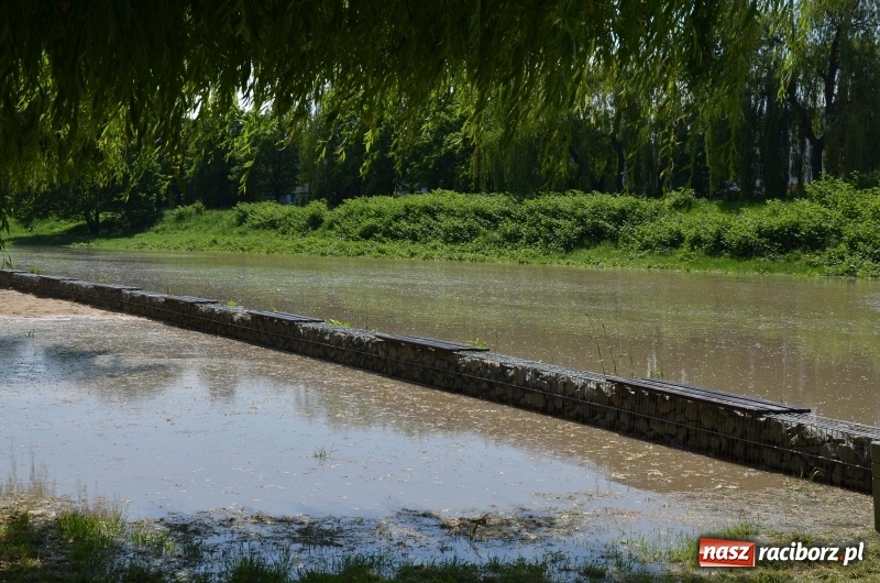 Zdjęcie w galerii na portalu naszraciborz.pl: Wezbranie 2019 - najwyższy stan na Odrze miejskiej. Wizyta komendanta głównego straży pożarnej wiadomości z regionu