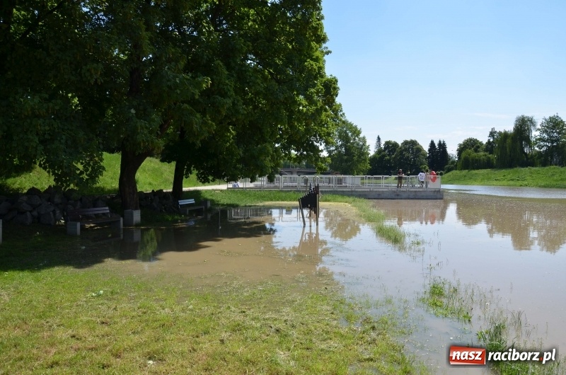 Zdjęcie w galerii na portalu naszraciborz.pl: Wezbranie 2019 - najwyższy stan na Odrze miejskiej. Wizyta komendanta głównego straży pożarnej wiadomości z regionu