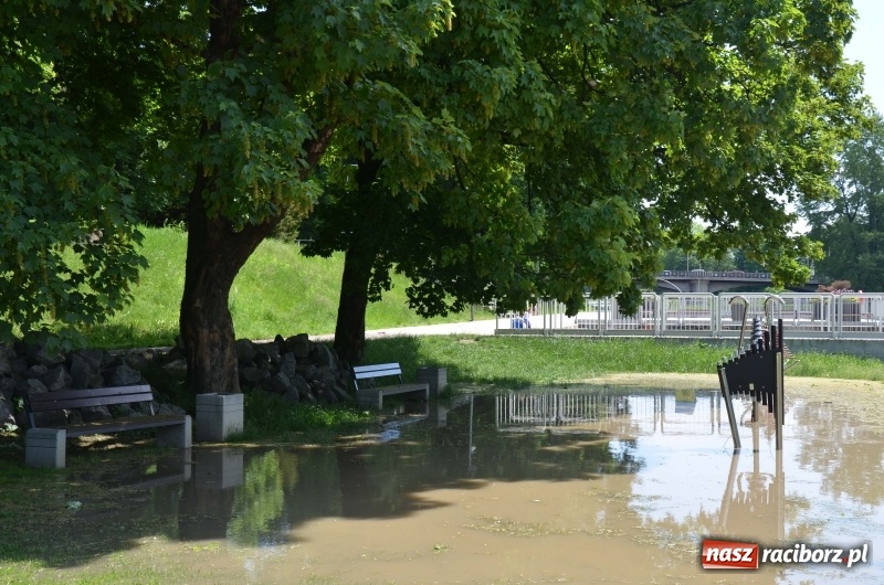 Zdjęcie w galerii na portalu naszraciborz.pl: Wezbranie 2019 - najwyższy stan na Odrze miejskiej. Wizyta komendanta głównego straży pożarnej wiadomości z regionu