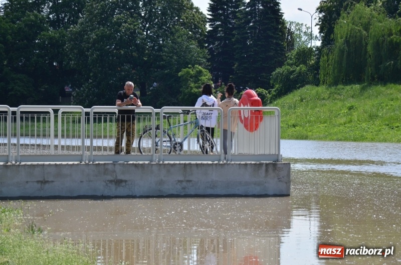 Zdjęcie w galerii na portalu naszraciborz.pl: Wezbranie 2019 - najwyższy stan na Odrze miejskiej. Wizyta komendanta głównego straży pożarnej wiadomości z regionu