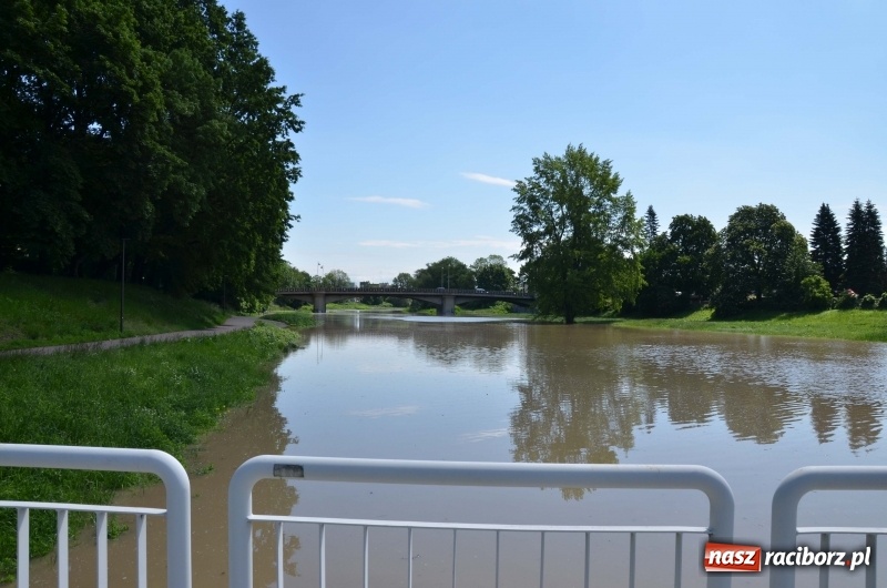 Zdjęcie w galerii na portalu naszraciborz.pl: Wezbranie 2019 - najwyższy stan na Odrze miejskiej. Wizyta komendanta głównego straży pożarnej wiadomości z regionu