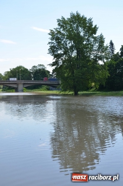 Zdjęcie w galerii na portalu naszraciborz.pl: Wezbranie 2019 - najwyższy stan na Odrze miejskiej. Wizyta komendanta głównego straży pożarnej wiadomości z regionu