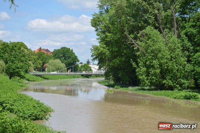 Zdjęcie w galerii na portalu naszraciborz.pl: Wezbranie 2019 - najwyższy stan na Odrze miejskiej. Wizyta komendanta głównego straży pożarnej wiadomości z regionu