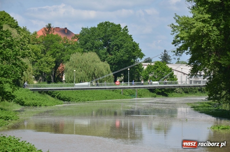 Zdjęcie w galerii na portalu naszraciborz.pl: Wezbranie 2019 - najwyższy stan na Odrze miejskiej. Wizyta komendanta głównego straży pożarnej wiadomości z regionu