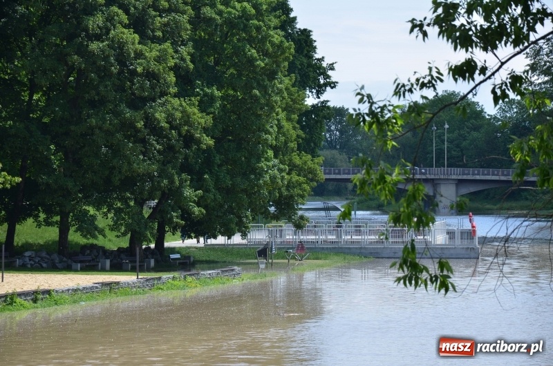 Zdjęcie w galerii na portalu naszraciborz.pl: Wezbranie 2019 - najwyższy stan na Odrze miejskiej. Wizyta komendanta głównego straży pożarnej wiadomości z regionu