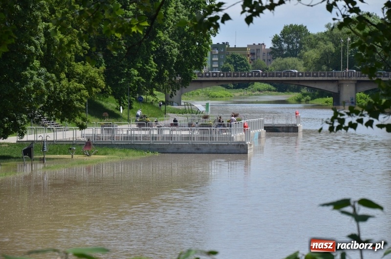 Zdjęcie w galerii na portalu naszraciborz.pl: Wezbranie 2019 - najwyższy stan na Odrze miejskiej. Wizyta komendanta głównego straży pożarnej wiadomości z regionu