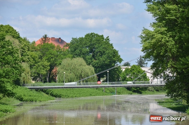 Zdjęcie w galerii na portalu naszraciborz.pl: Wezbranie 2019 - najwyższy stan na Odrze miejskiej. Wizyta komendanta głównego straży pożarnej wiadomości z regionu