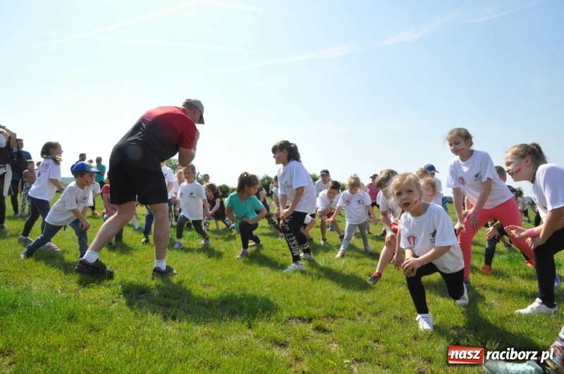 Zdjęcie w galerii na portalu naszraciborz.pl: II Bieg Małego Polaka z patriotycznym akcentem [FOTO i WIDEO] wiadomości z regionu