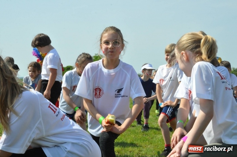 Zdjęcie w galerii na portalu naszraciborz.pl: II Bieg Małego Polaka z patriotycznym akcentem [FOTO i WIDEO] wiadomości z regionu