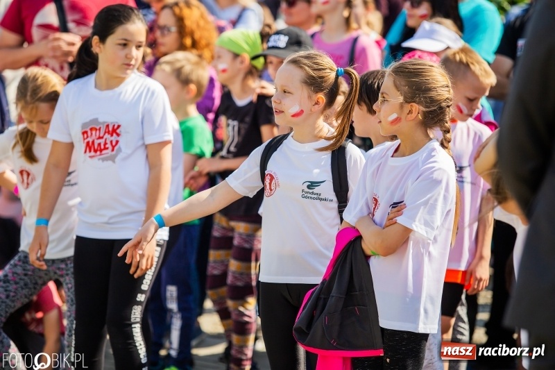 Zdjęcie w galerii na portalu naszraciborz.pl: II Bieg Małego Polaka z patriotycznym akcentem [FOTO i WIDEO] wiadomości z regionu