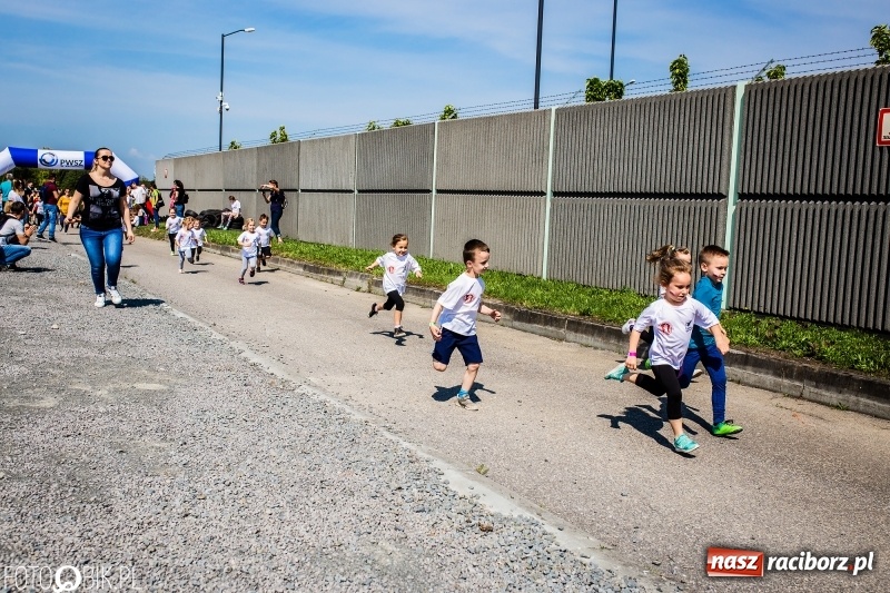 Zdjęcie w galerii na portalu naszraciborz.pl: II Bieg Małego Polaka z patriotycznym akcentem [FOTO i WIDEO] wiadomości z regionu