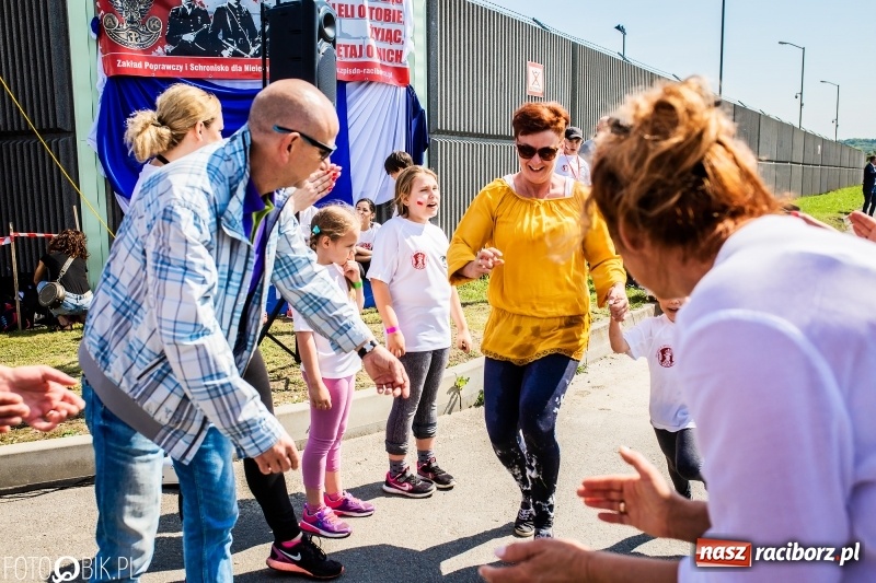 Zdjęcie w galerii na portalu naszraciborz.pl: II Bieg Małego Polaka z patriotycznym akcentem [FOTO i WIDEO] wiadomości z regionu