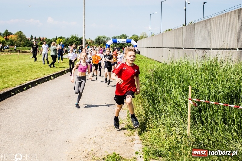 Zdjęcie w galerii na portalu naszraciborz.pl: II Bieg Małego Polaka z patriotycznym akcentem [FOTO i WIDEO] wiadomości z regionu
