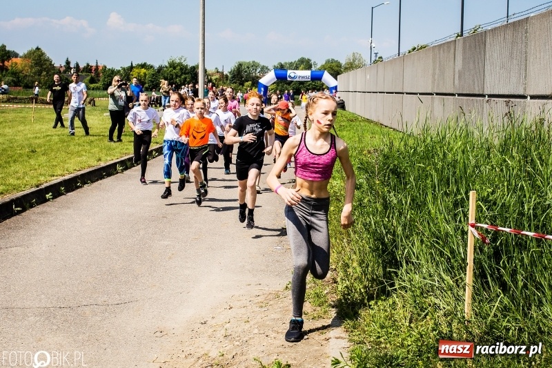 Zdjęcie w galerii na portalu naszraciborz.pl: II Bieg Małego Polaka z patriotycznym akcentem [FOTO i WIDEO] wiadomości z regionu