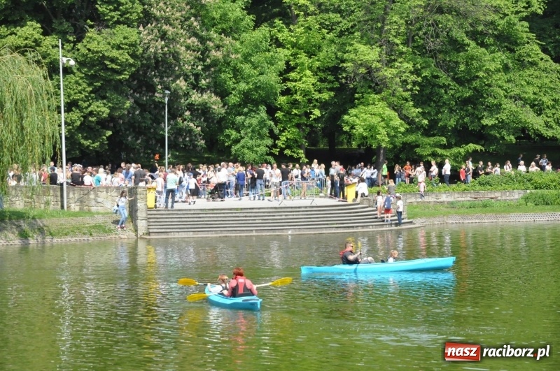 Zdjęcie w galerii na portalu naszraciborz.pl: Wiosłuj z nami. Piknik wodniacki w parku Roth [FOTO i WIDEO] wiadomości z regionu