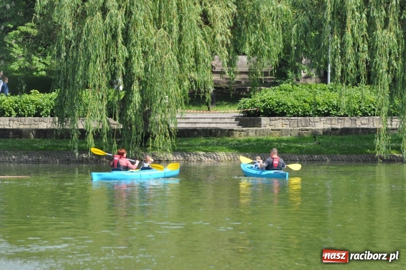 Zdjęcie w galerii na portalu naszraciborz.pl: Wiosłuj z nami. Piknik wodniacki w parku Roth [FOTO i WIDEO] wiadomości z regionu
