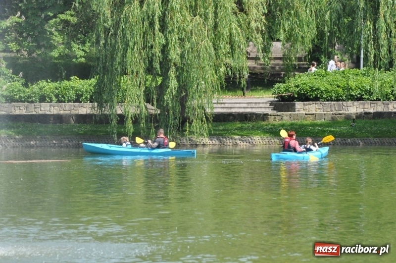 Zdjęcie w galerii na portalu naszraciborz.pl: Wiosłuj z nami. Piknik wodniacki w parku Roth [FOTO i WIDEO] wiadomości z regionu