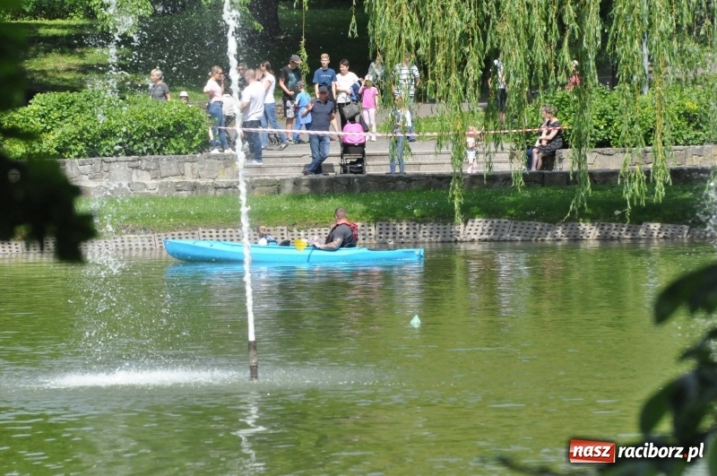Zdjęcie w galerii na portalu naszraciborz.pl: Wiosłuj z nami. Piknik wodniacki w parku Roth [FOTO i WIDEO] wiadomości z regionu