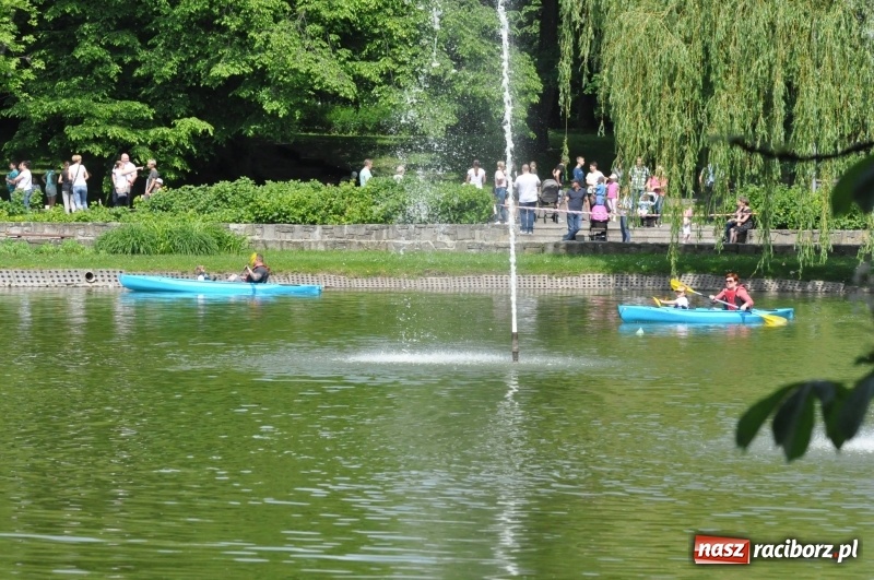 Zdjęcie w galerii na portalu naszraciborz.pl: Wiosłuj z nami. Piknik wodniacki w parku Roth [FOTO i WIDEO] wiadomości z regionu