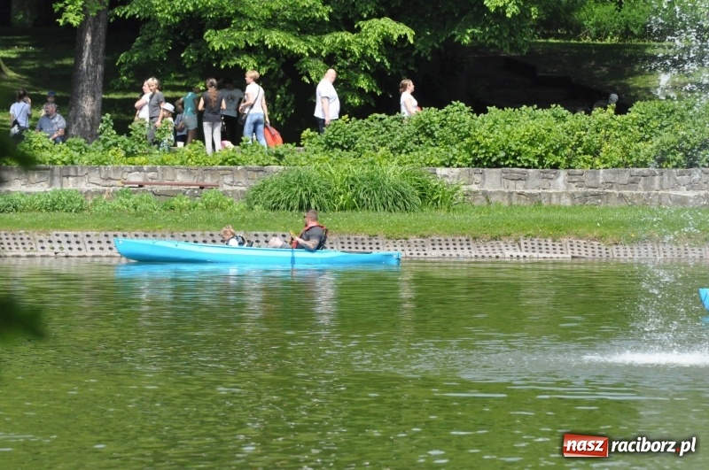 Zdjęcie w galerii na portalu naszraciborz.pl: Wiosłuj z nami. Piknik wodniacki w parku Roth [FOTO i WIDEO] wiadomości z regionu