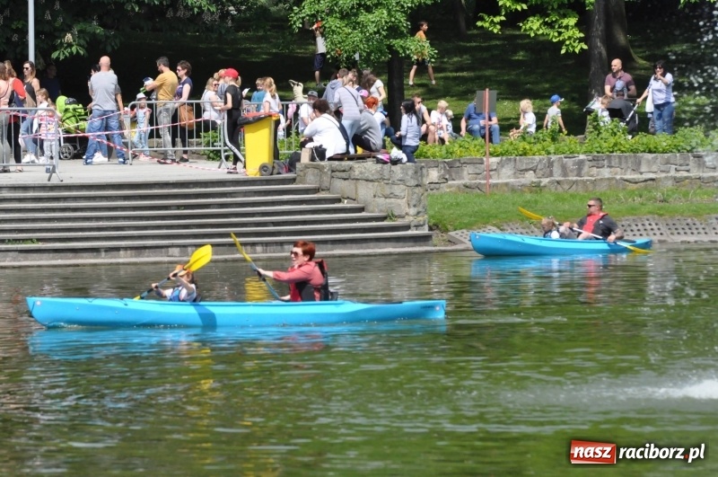 Zdjęcie w galerii na portalu naszraciborz.pl: Wiosłuj z nami. Piknik wodniacki w parku Roth [FOTO i WIDEO] wiadomości z regionu