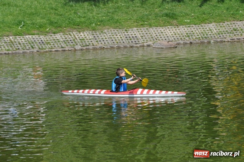 Zdjęcie w galerii na portalu naszraciborz.pl: Wiosłuj z nami. Piknik wodniacki w parku Roth [FOTO i WIDEO] wiadomości z regionu