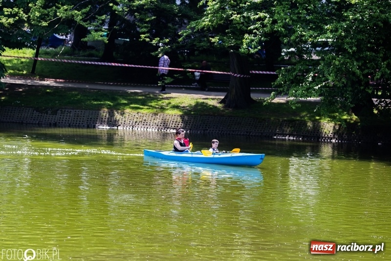 Zdjęcie w galerii na portalu naszraciborz.pl: Wiosłuj z nami. Piknik wodniacki w parku Roth [FOTO i WIDEO] wiadomości z regionu