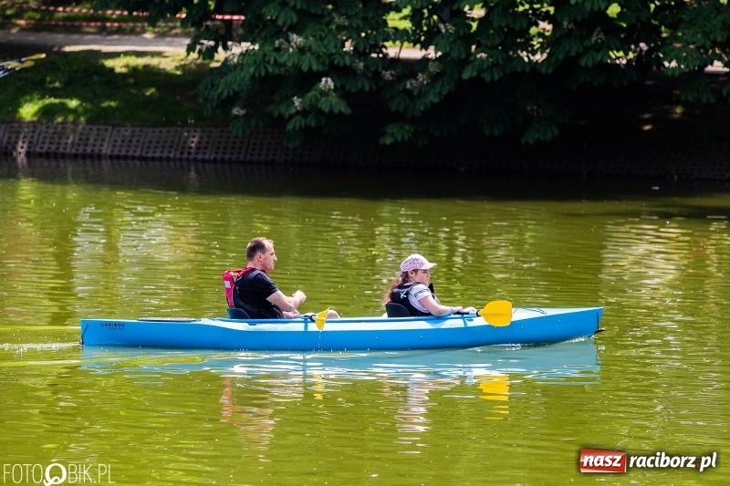 Zdjęcie w galerii na portalu naszraciborz.pl: Wiosłuj z nami. Piknik wodniacki w parku Roth [FOTO i WIDEO] wiadomości z regionu