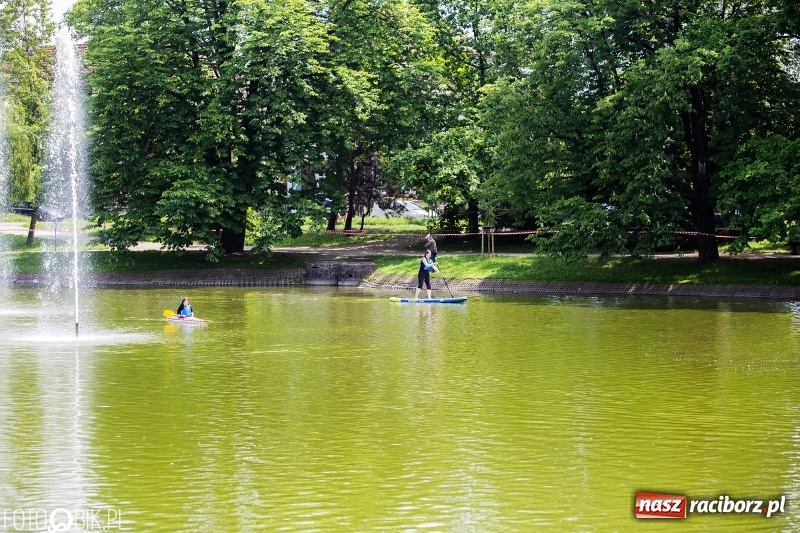 Zdjęcie w galerii na portalu naszraciborz.pl: Wiosłuj z nami. Piknik wodniacki w parku Roth [FOTO i WIDEO] wiadomości z regionu