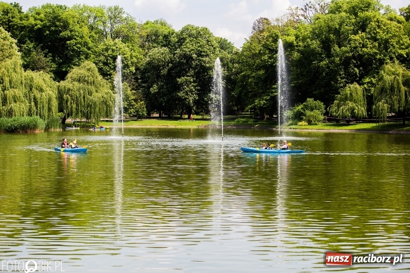 Zdjęcie w galerii na portalu naszraciborz.pl: Wiosłuj z nami. Piknik wodniacki w parku Roth [FOTO i WIDEO] wiadomości z regionu