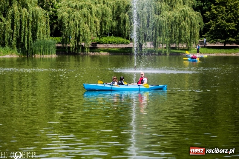 Zdjęcie w galerii na portalu naszraciborz.pl: Wiosłuj z nami. Piknik wodniacki w parku Roth [FOTO i WIDEO] wiadomości z regionu