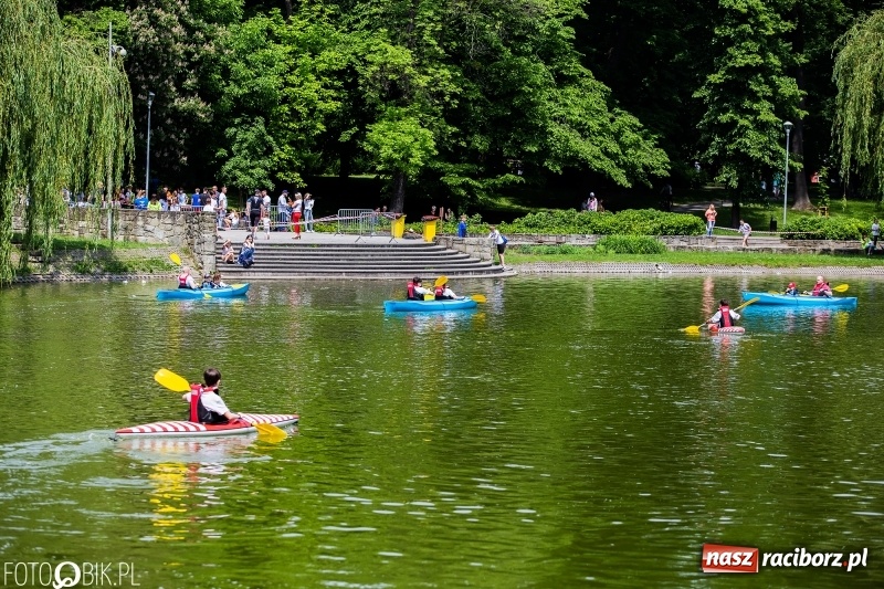 Zdjęcie w galerii na portalu naszraciborz.pl: Wiosłuj z nami. Piknik wodniacki w parku Roth [FOTO i WIDEO] wiadomości z regionu