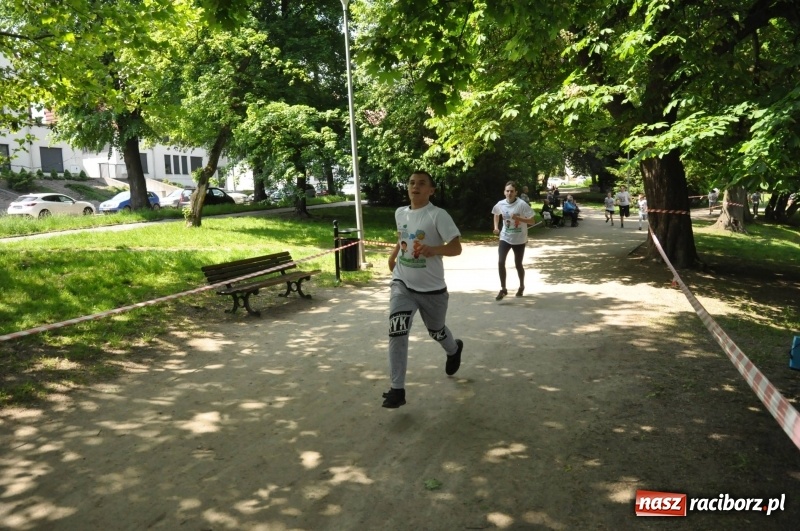 Zdjęcie w galerii na portalu naszraciborz.pl: XIII Raciborski Bieg Profilaktyczny [FOTO i WIDEO] wiadomości z regionu
