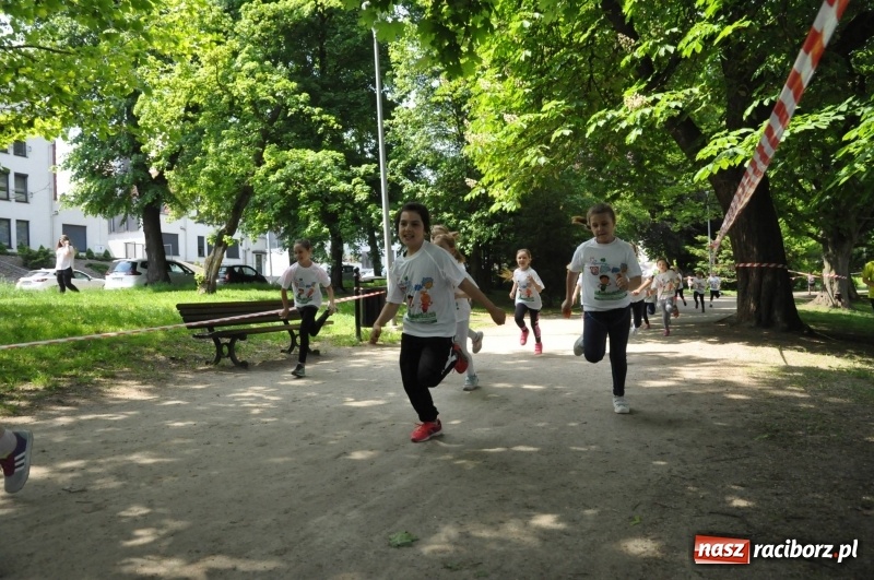 Zdjęcie w galerii na portalu naszraciborz.pl: XIII Raciborski Bieg Profilaktyczny [FOTO i WIDEO] wiadomości z regionu