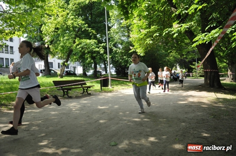 Zdjęcie w galerii na portalu naszraciborz.pl: XIII Raciborski Bieg Profilaktyczny [FOTO i WIDEO] wiadomości z regionu