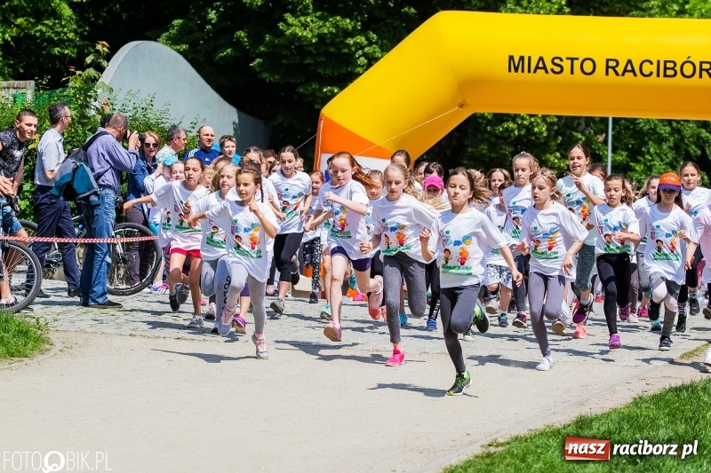 Zdjęcie w galerii na portalu naszraciborz.pl: XIII Raciborski Bieg Profilaktyczny [FOTO i WIDEO] wiadomości z regionu