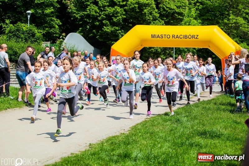 Zdjęcie w galerii na portalu naszraciborz.pl: XIII Raciborski Bieg Profilaktyczny [FOTO i WIDEO] wiadomości z regionu