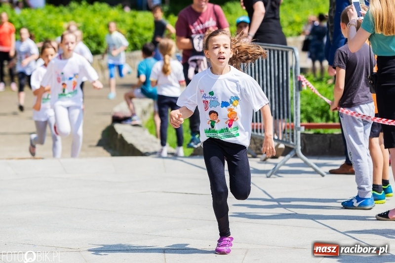 Zdjęcie w galerii na portalu naszraciborz.pl: XIII Raciborski Bieg Profilaktyczny [FOTO i WIDEO] wiadomości z regionu