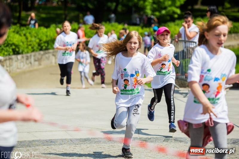 Zdjęcie w galerii na portalu naszraciborz.pl: XIII Raciborski Bieg Profilaktyczny [FOTO i WIDEO] wiadomości z regionu
