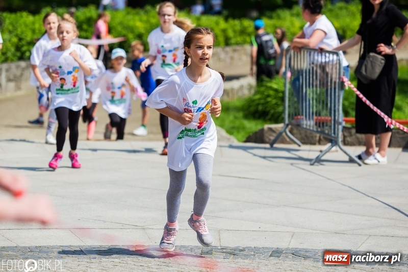 Zdjęcie w galerii na portalu naszraciborz.pl: XIII Raciborski Bieg Profilaktyczny [FOTO i WIDEO] wiadomości z regionu