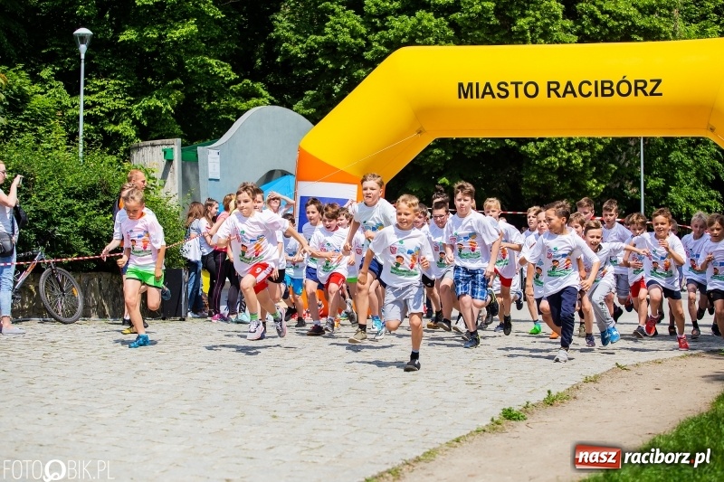 Zdjęcie w galerii na portalu naszraciborz.pl: XIII Raciborski Bieg Profilaktyczny [FOTO i WIDEO] wiadomości z regionu