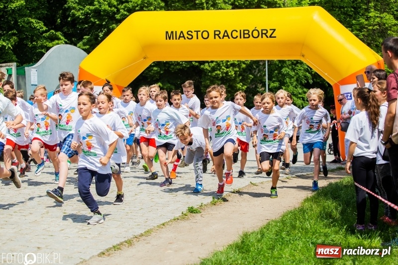 Zdjęcie w galerii na portalu naszraciborz.pl: XIII Raciborski Bieg Profilaktyczny [FOTO i WIDEO] wiadomości z regionu