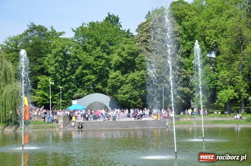 Zdjęcie w galerii na portalu naszraciborz.pl: XIII Raciborski Bieg Profilaktyczny [FOTO i WIDEO] wiadomości z regionu