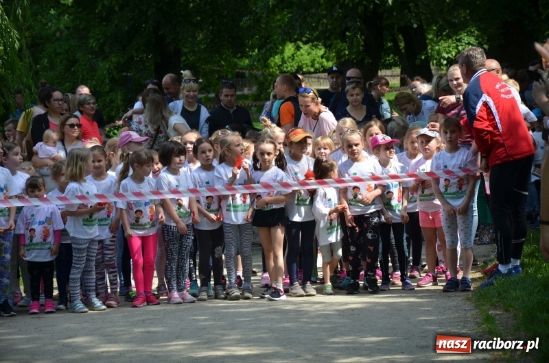 Zdjęcie w galerii na portalu naszraciborz.pl: XIII Raciborski Bieg Profilaktyczny [FOTO i WIDEO] wiadomości z regionu